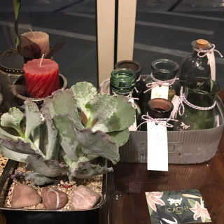까치화방_종로점 [까치화방] 오픈토스트세트+수제청음료+커피+하루꽃 — 4.17점을 준 리뷰어가 2018년 11월 올린 사용 사진