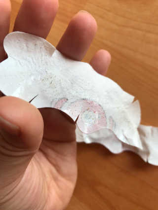 나이팅게일 TAKO PACK NOSE [문어코팩] — 5점을 준 리뷰어가 2017년 6월 올린 사용 사진