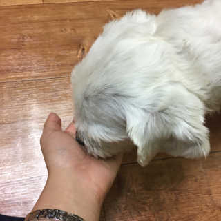 9DA5님이 올린 리뷰 사진 2