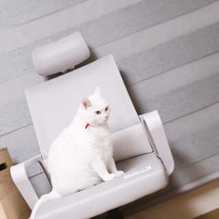 샤샤님이 올린 리뷰 사진 2