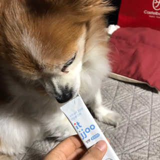 빵이님이 올린 리뷰 사진 3