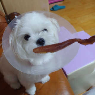 무야호님이 올린 리뷰 사진 1