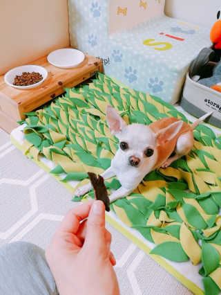 황이님이 올린 리뷰 사진 1