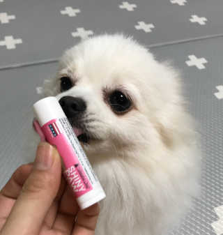 박수진님이 올린 리뷰 사진 2