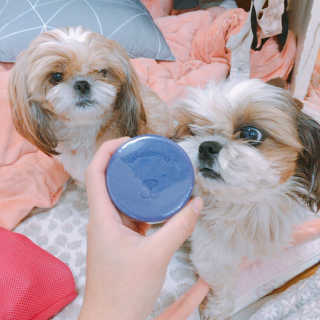 베베츄님이 올린 리뷰 사진 2