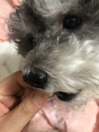 하늘님이 올린 리뷰 사진 2