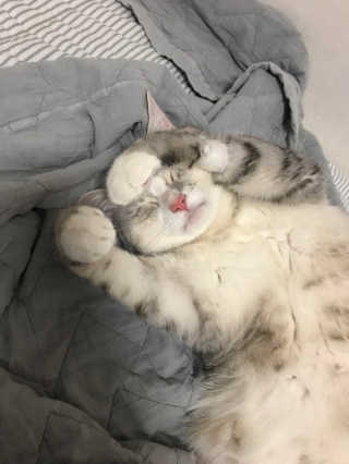 오래오니뚜님이 올린 리뷰 사진 2