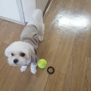 달려라마루코님이 올린 리뷰 사진 3