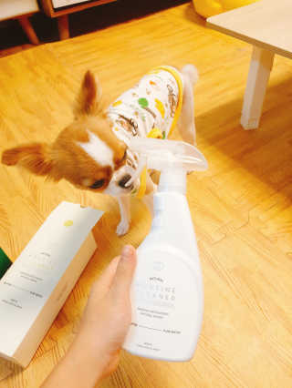 꼬몽쓰님이 올린 리뷰 사진 1