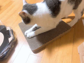 yyyy님이 올린 리뷰 사진 4