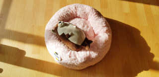 윤님이 올린 리뷰 사진 2
