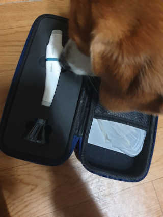beaglelove님이 올린 리뷰 사진 2