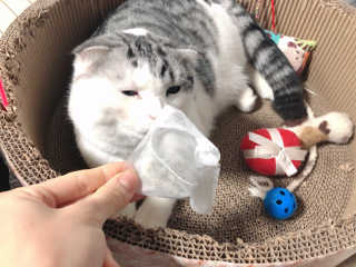 cobemom님이 올린 리뷰 사진 3
