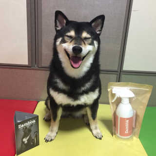주이님이 올린 리뷰 사진 2