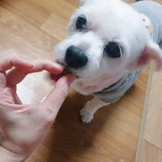 은혜eh님이 올린 리뷰 사진 2