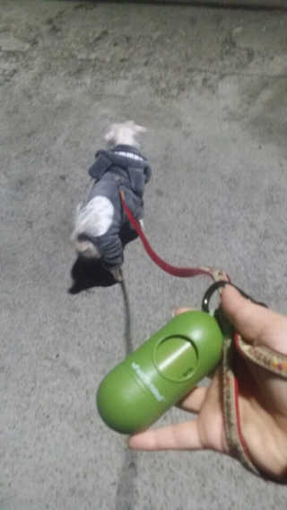 란님이 올린 리뷰 사진 1