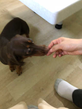 쑥이님이 올린 리뷰 사진 2