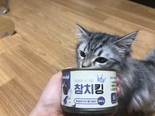 배융빵님이 올린 리뷰 사진 1