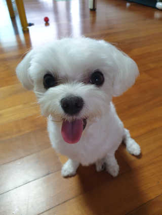 뉘신지님이 올린 리뷰 사진 3