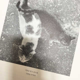 개나리노오란님이 올린 리뷰 사진 2