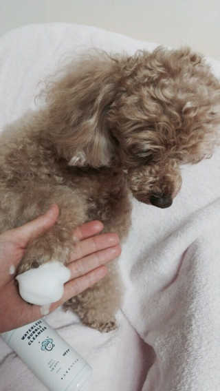 주아맘님이 올린 리뷰 사진 1