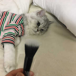 단발소녀님이 올린 리뷰 사진 4