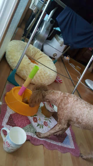yunadori님이 올린 리뷰 사진 4