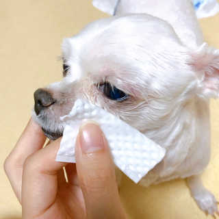 cherry님이 올린 리뷰 사진 3