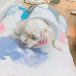 pang님이 올린 리뷰 사진 4