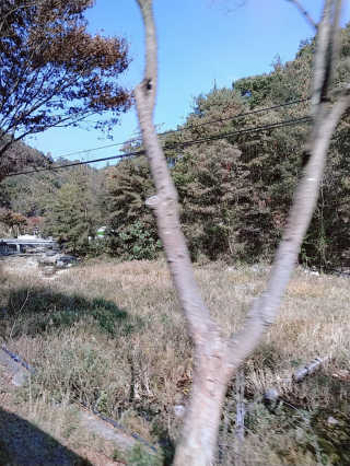 주연님이 올린 리뷰 사진 3