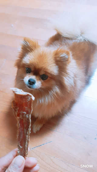 YulaKim님이 올린 리뷰 사진 1