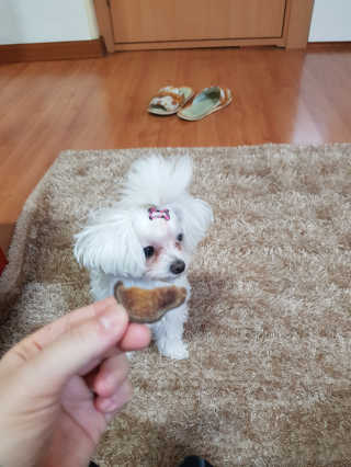 혜니니님이 올린 리뷰 사진 2
