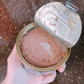 [펫토리아] BEST 한캔뚝딱 고양이 주식캔 — 2.5점을 준 리뷰어가 2019년 3월 올린 사용 사진