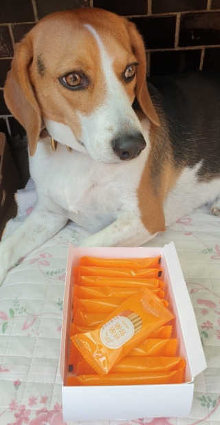 beaglelove님이 올린 리뷰 사진 1