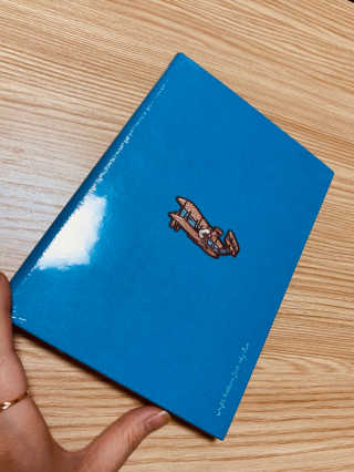 벌룬 라이트형제 퍼스트 스카이블루 3개월 다이어리 — 5점을 준 리뷰어가 2020년 1월 올린 사용 사진