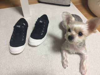 DaHyeKim님이 올린 리뷰 사진 2