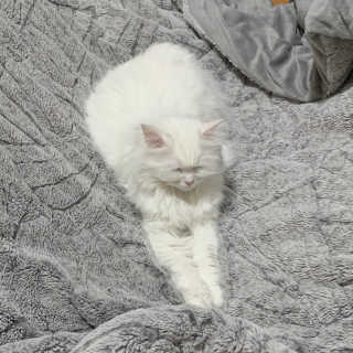 례진님이 올린 리뷰 사진 3