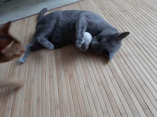 꽁스님이 올린 리뷰 사진 3