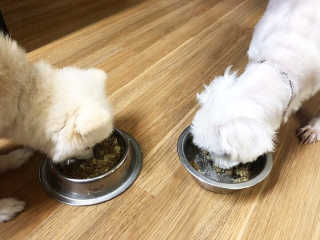 꾸꾸맘S님이 올린 리뷰 사진 3