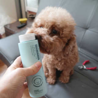 복깨비님이 올린 리뷰 사진 1