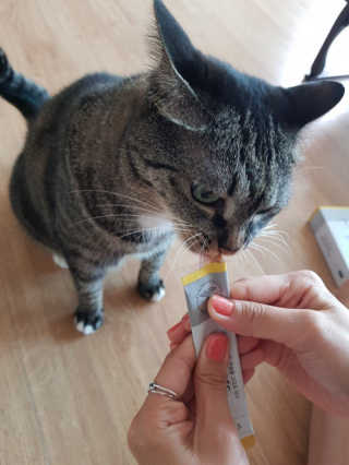 퐝님이 올린 리뷰 사진 2