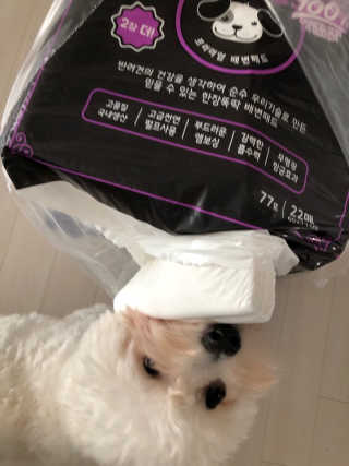 loveyoung님이 올린 리뷰 사진 1