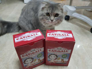 HyangsookLee님이 올린 리뷰 사진 1