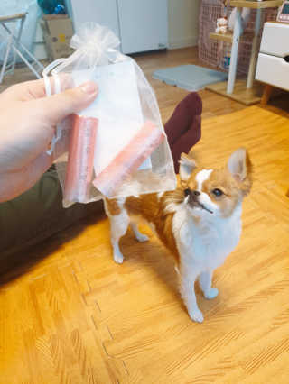 꼬몽쓰님이 올린 리뷰 사진 1