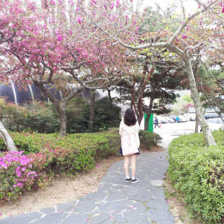 김숙현님이 올린 리뷰 사진 1