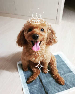 narae님이 올린 리뷰 사진 4
