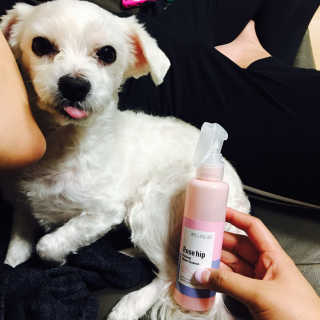 이수윤님이 올린 리뷰 사진 2