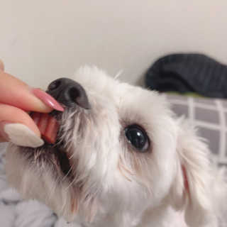 수희공주님님이 올린 리뷰 사진 3