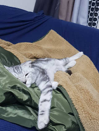 이째님이 올린 리뷰 사진 4