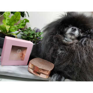 Peepingpomeranian님이 올린 리뷰 사진 1